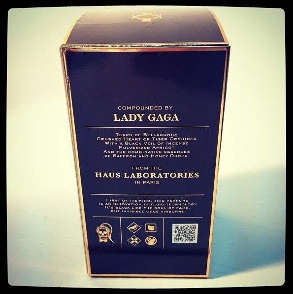Lady Gaga Fame Black Fluid fragrance parfume
